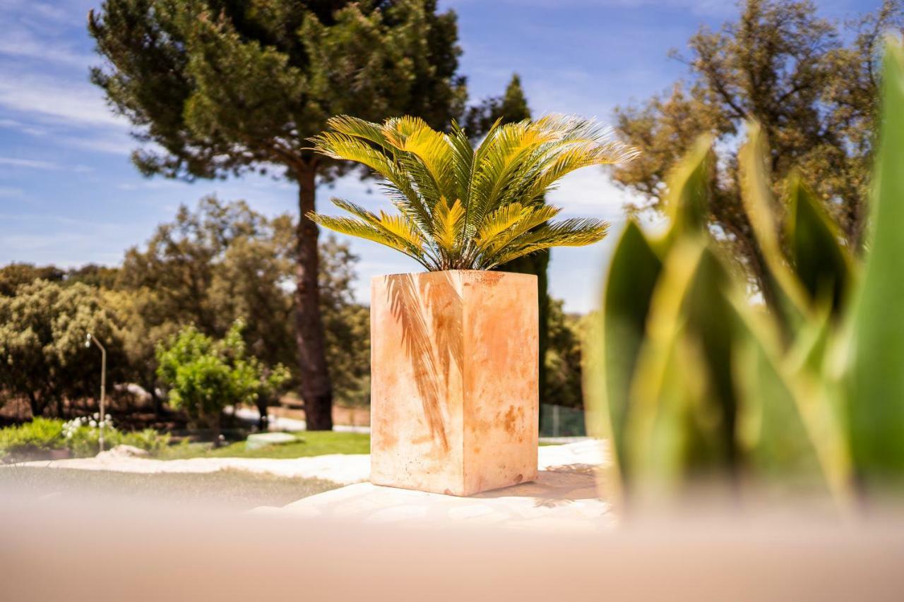 Villa Valparaiso Alhama de Granada Ngoại thất bức ảnh